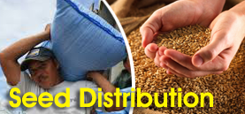 Seeds Distribution