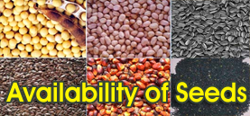 Availability of Seeds